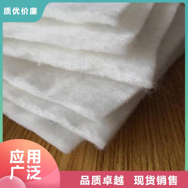 土工布玻纤土工格栅有实力有经验