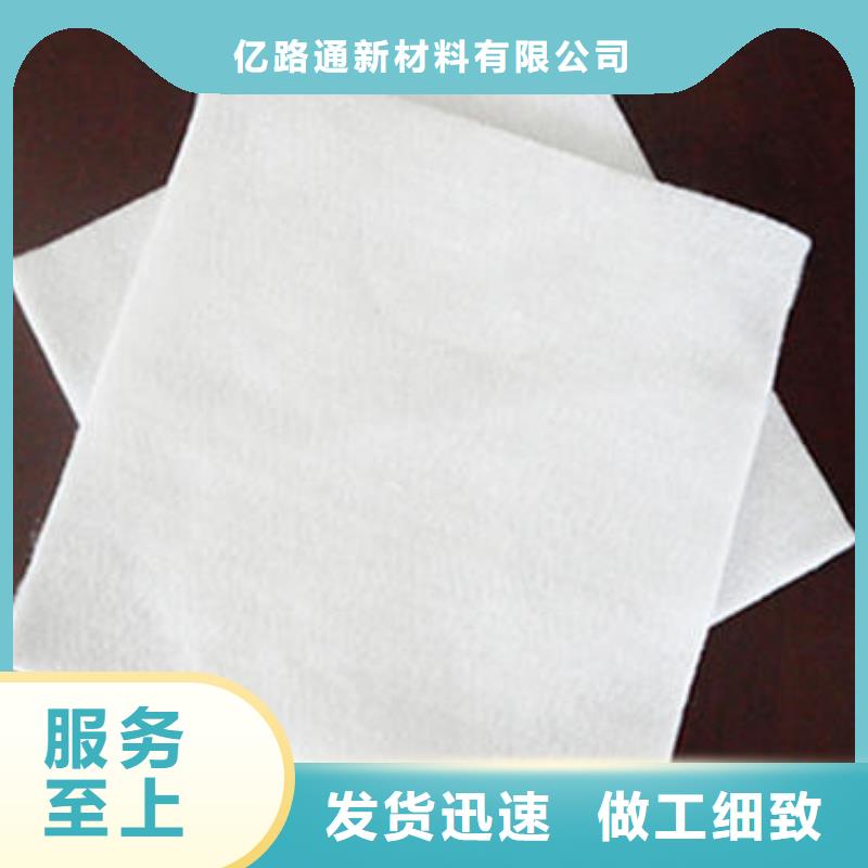 土工布玻纤土工格栅有实力有经验