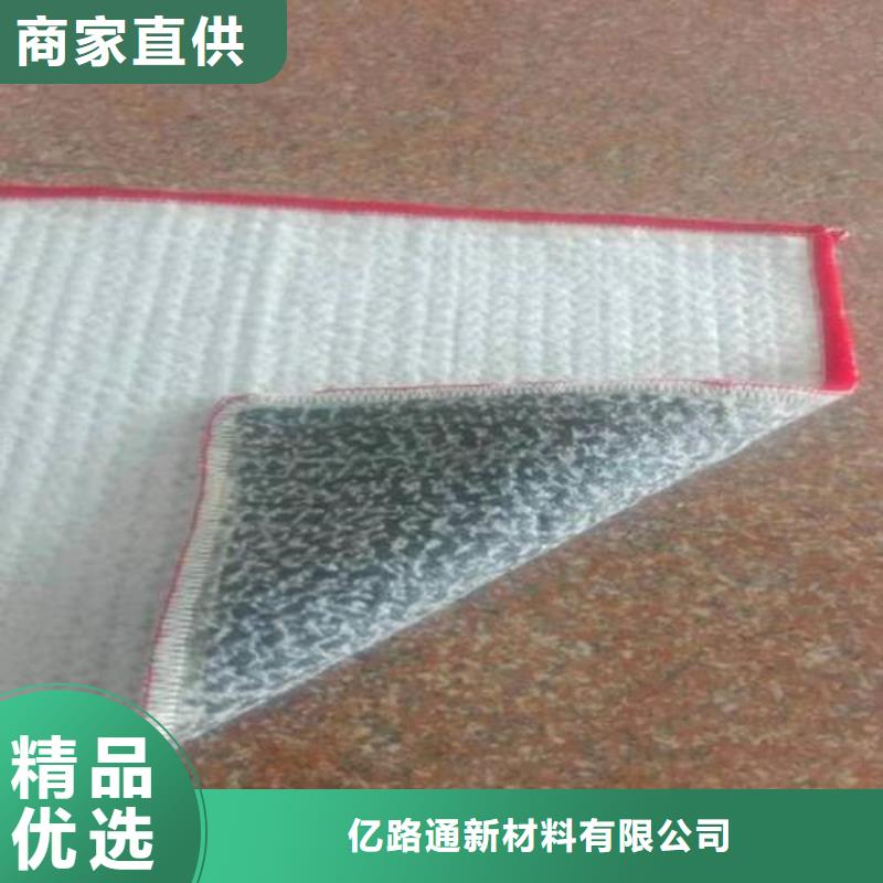 膨润土防水毯长丝土工布出货快