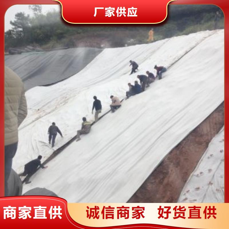 透水土工布视频-透水土工布_山东省济宁市市场覆盖微山|鱼台|日照|临沂|潍坊|东营|聊城|滨州等