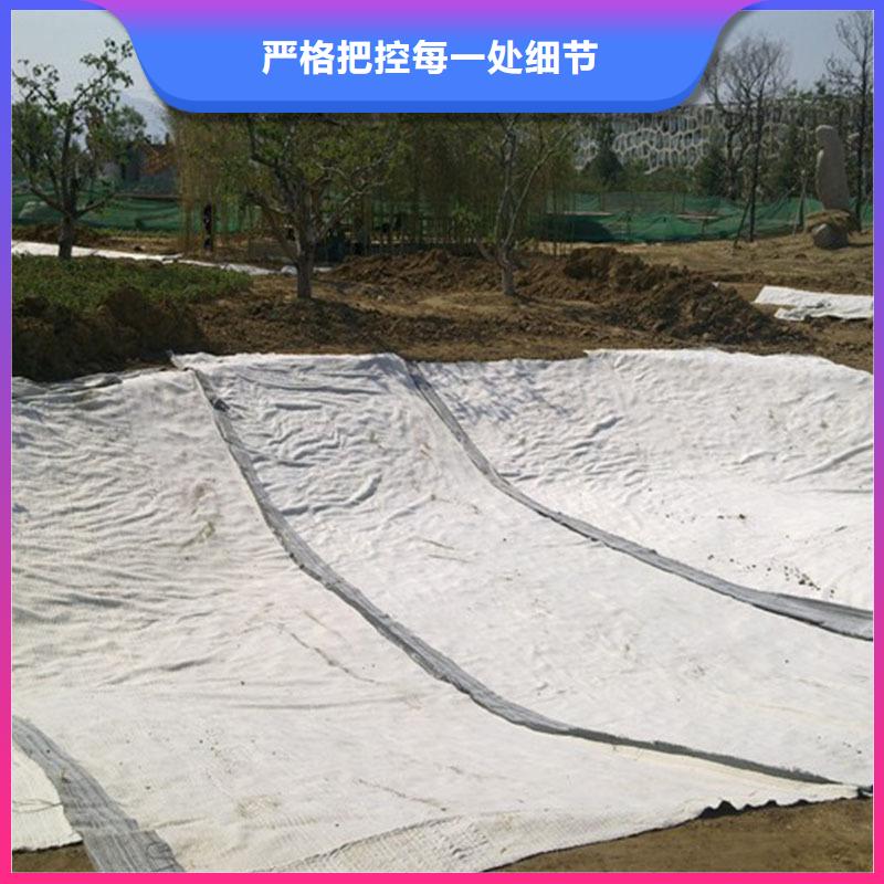 透水土工布视频-黑龙江省绥化市|兰西|海伦|佳木斯|齐齐哈尔|牡丹江|黑河透水土工布-亿路通