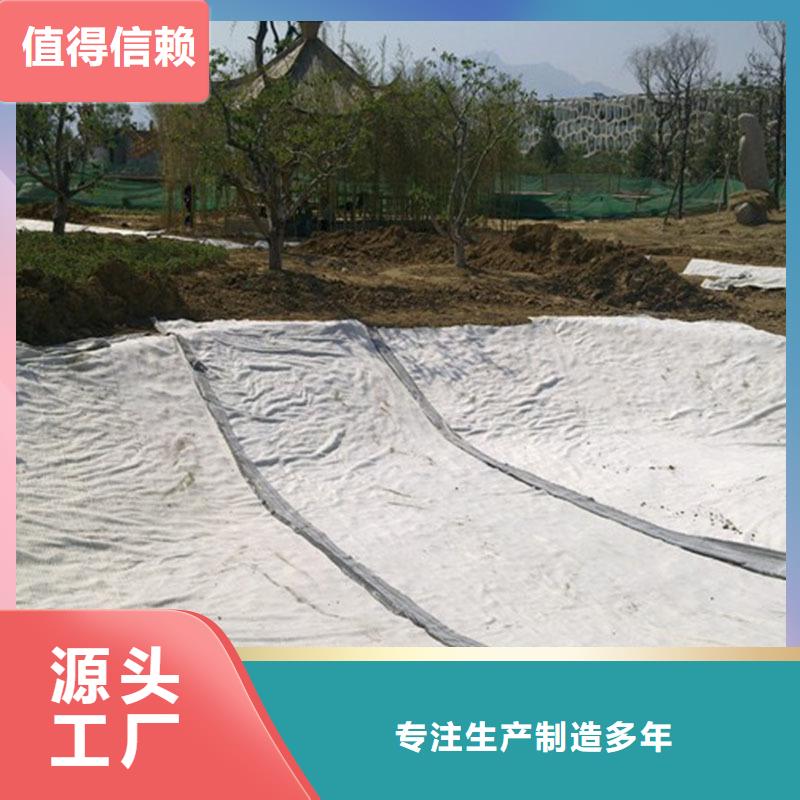 膨润土防水毯,塑料土工滤网源头工厂量大优惠