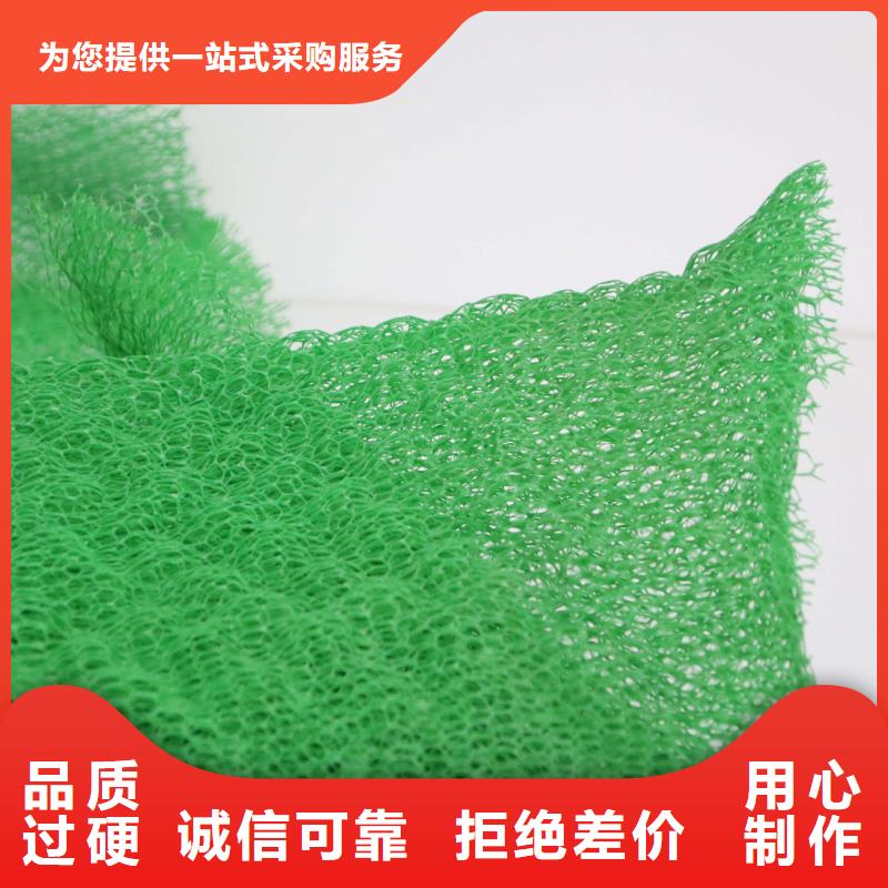 三维植被网hdpe士工膜符合行业标准