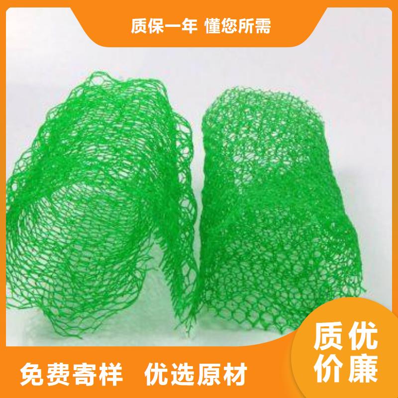 三维植被网三维土工网垫专注细节专注品质