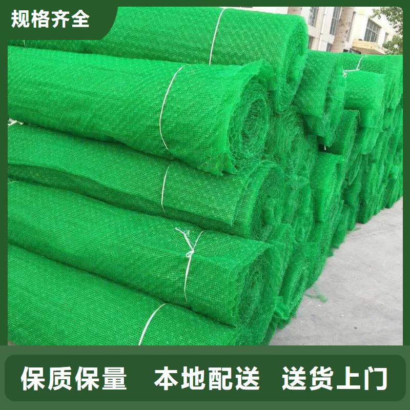 三维植被网钢塑土工格栅现货供应
