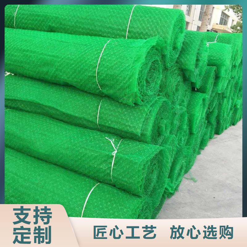 三维植被网-单向塑料土工格栅敢与同行比价格
