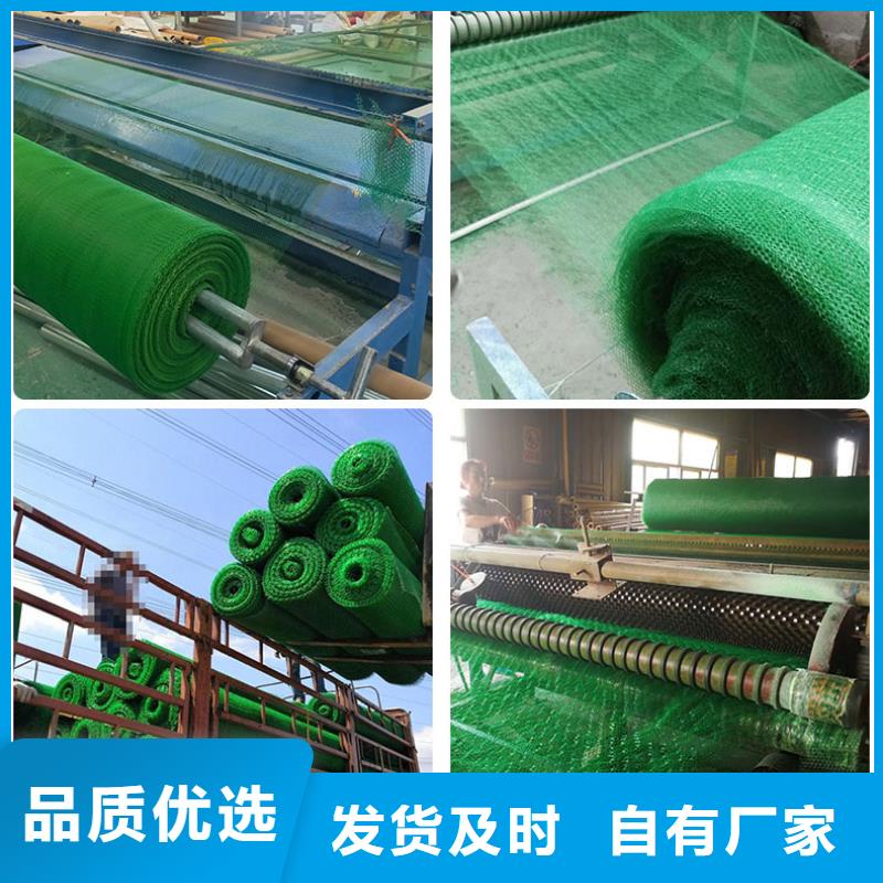 三维植被网钢塑土工格栅现货供应