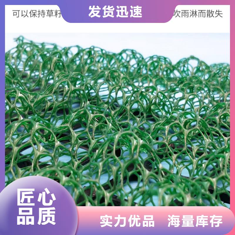 三维植被网钢塑土工格栅现货供应