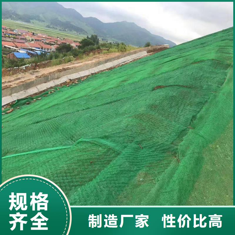 三维植被网土工布现货直发
