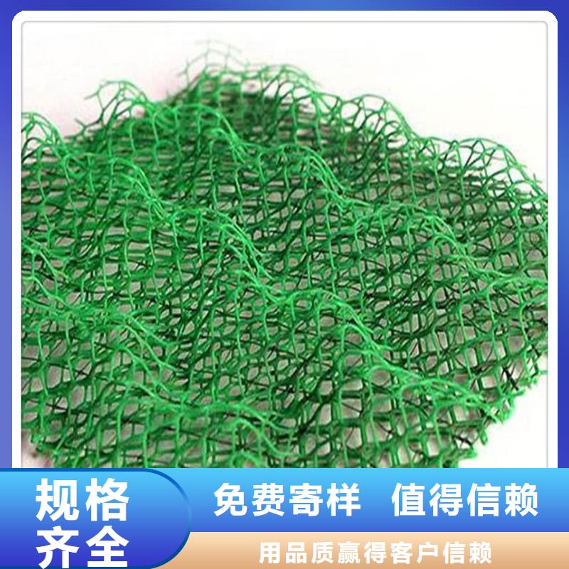 三维植被网,【复合土工膜】现货供应