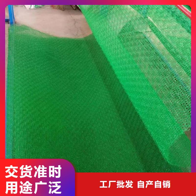 三维植被网土工布现货直发