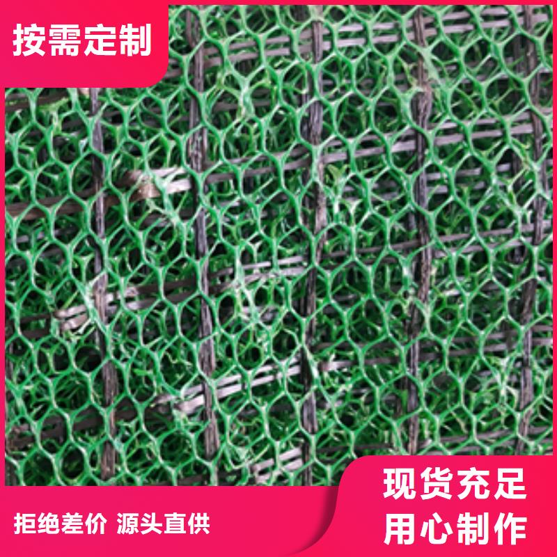 三维植被网hdpe士工膜符合行业标准