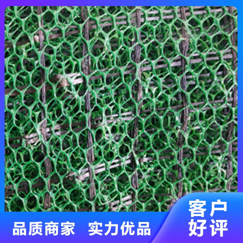 三维植被网钢塑土工格栅现货供应