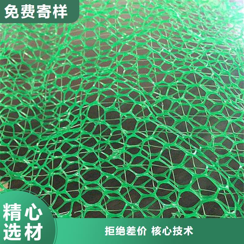 三维植被网三维土工网垫专注细节专注品质