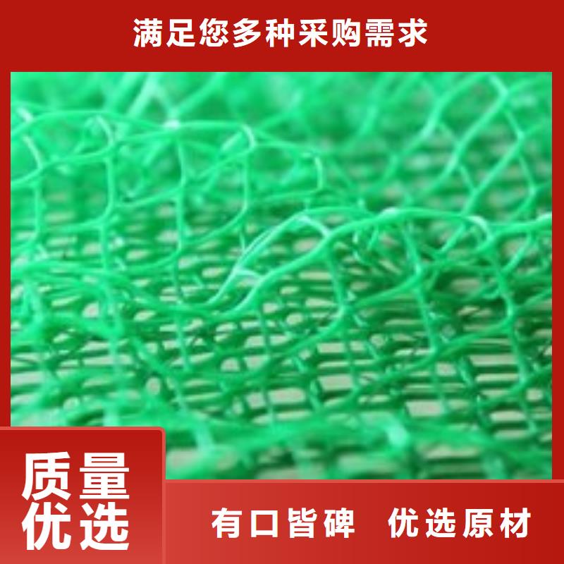 三维植被网三维土工网垫专注细节专注品质