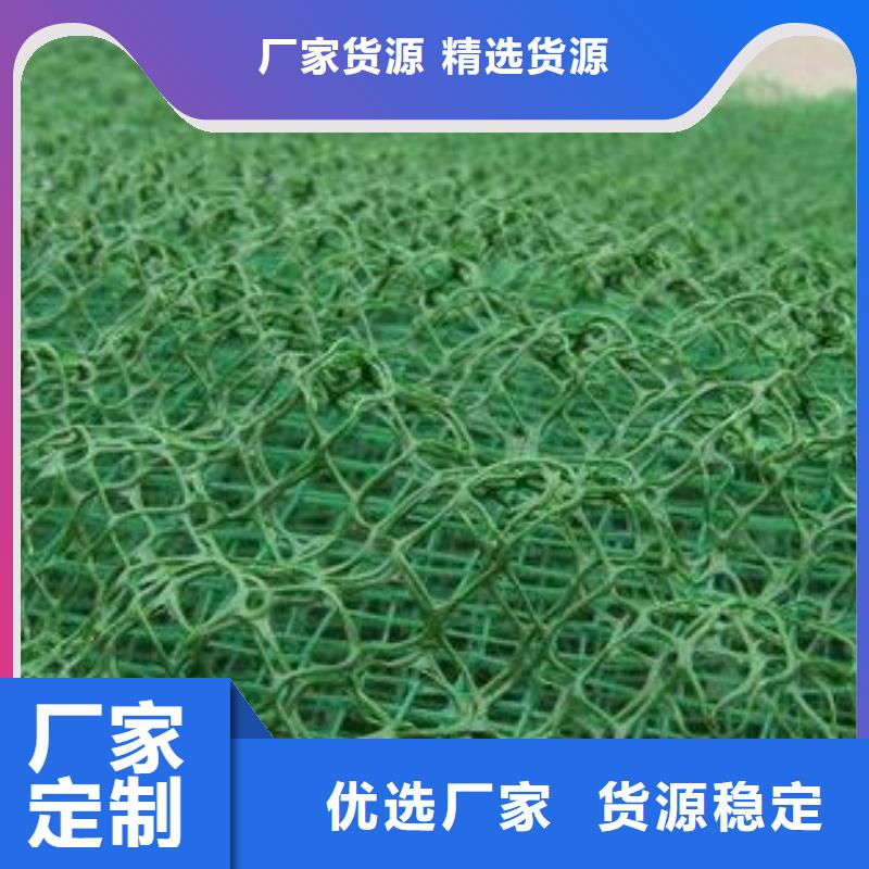 三维植被网三维土工网垫专注细节专注品质