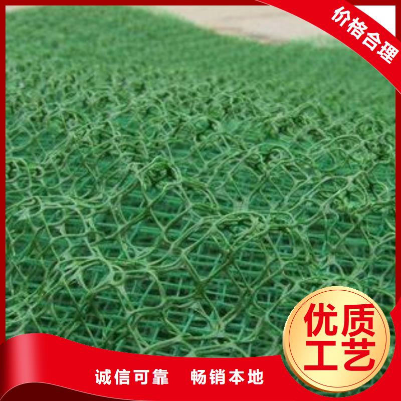 三维植被网三维土工网垫专注细节专注品质