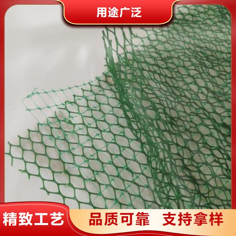 三维植被网三维土工网垫专注细节专注品质