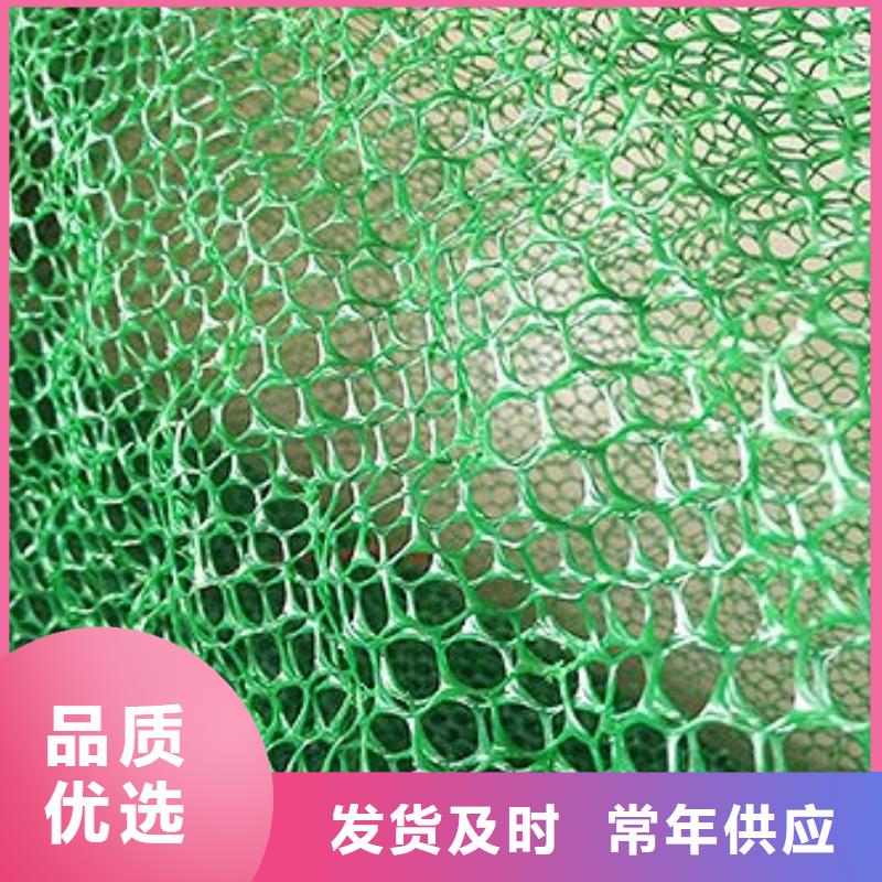 三维植被网三维土工网垫专注细节专注品质