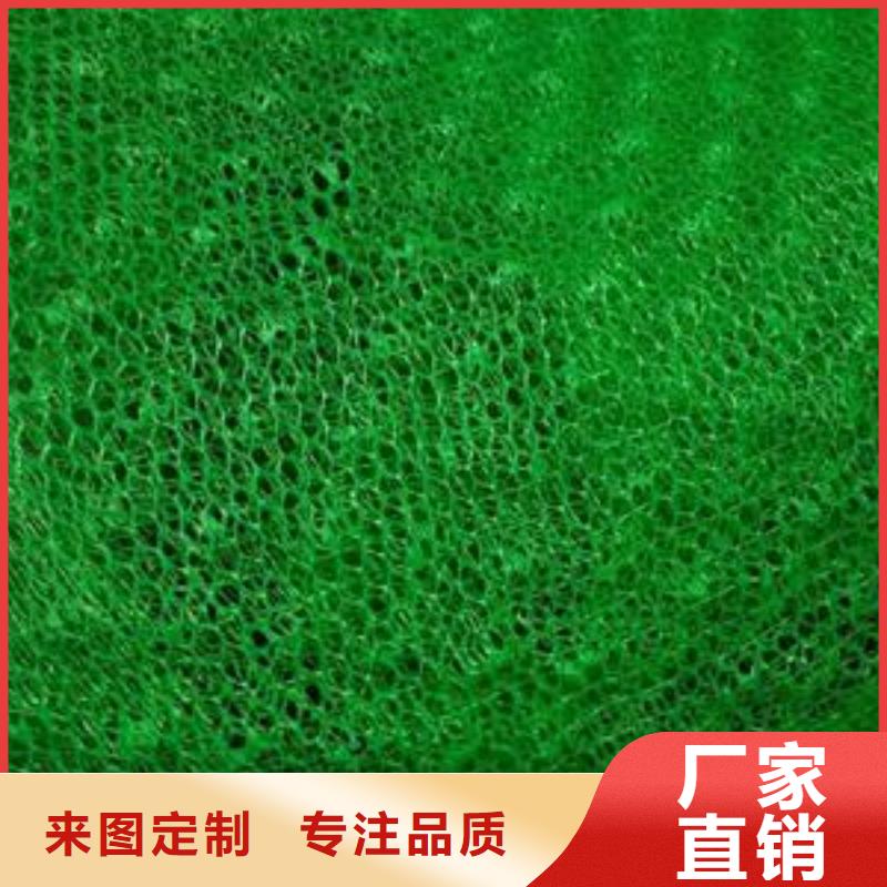 三维植被网三维土工网垫专注细节专注品质