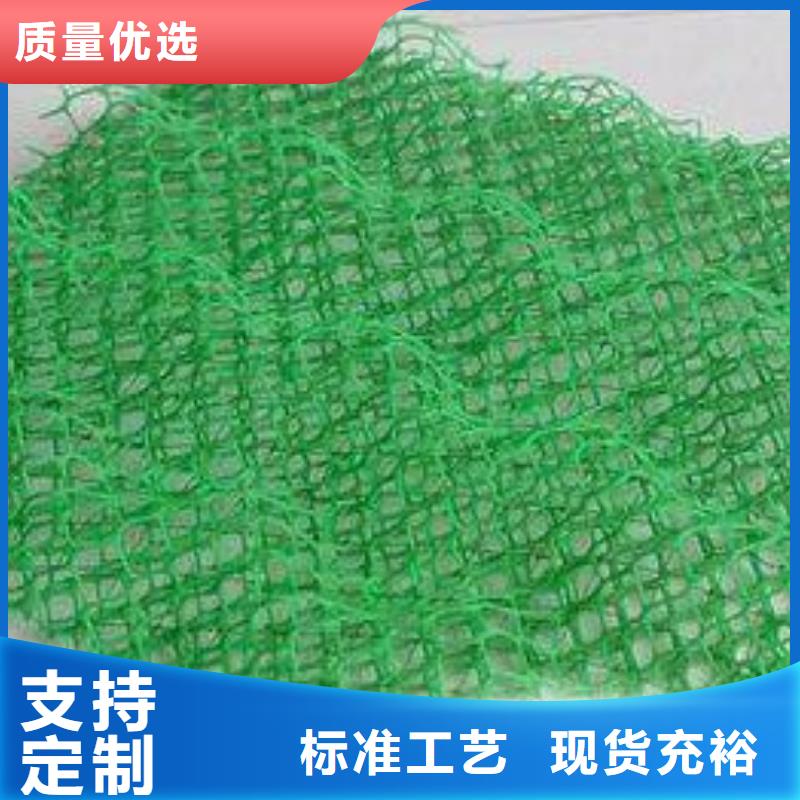 三维植被网三维土工网垫专注细节专注品质