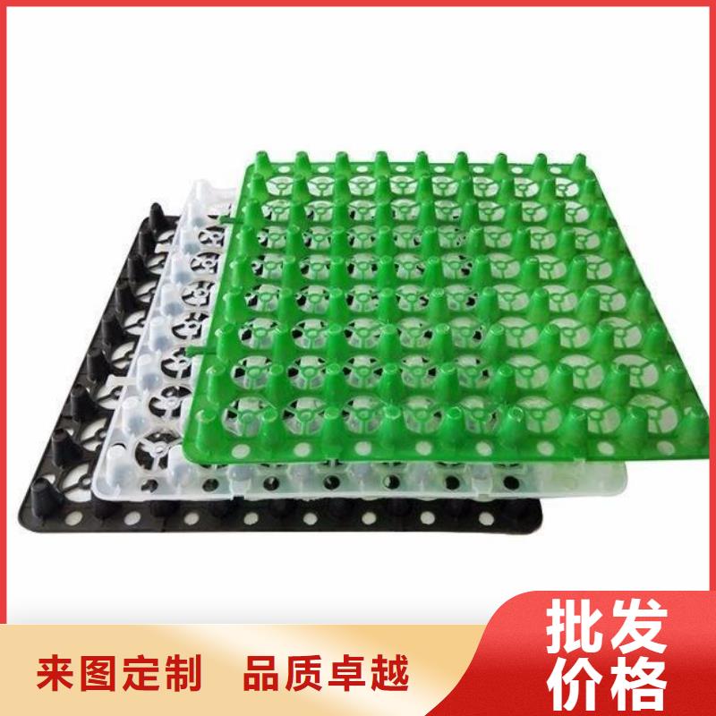塑料排水板三维土工网垫源头厂家供应