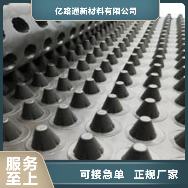 塑料排水板三维土工网垫源头厂家供应