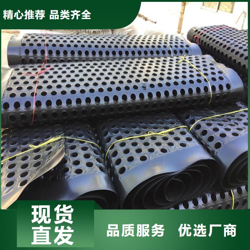塑料排水板-双向塑料土工格栅好产品不怕比