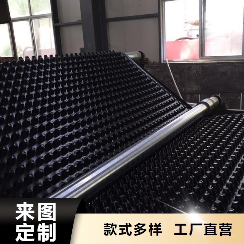 塑料排水板三维土工网垫源头厂家供应