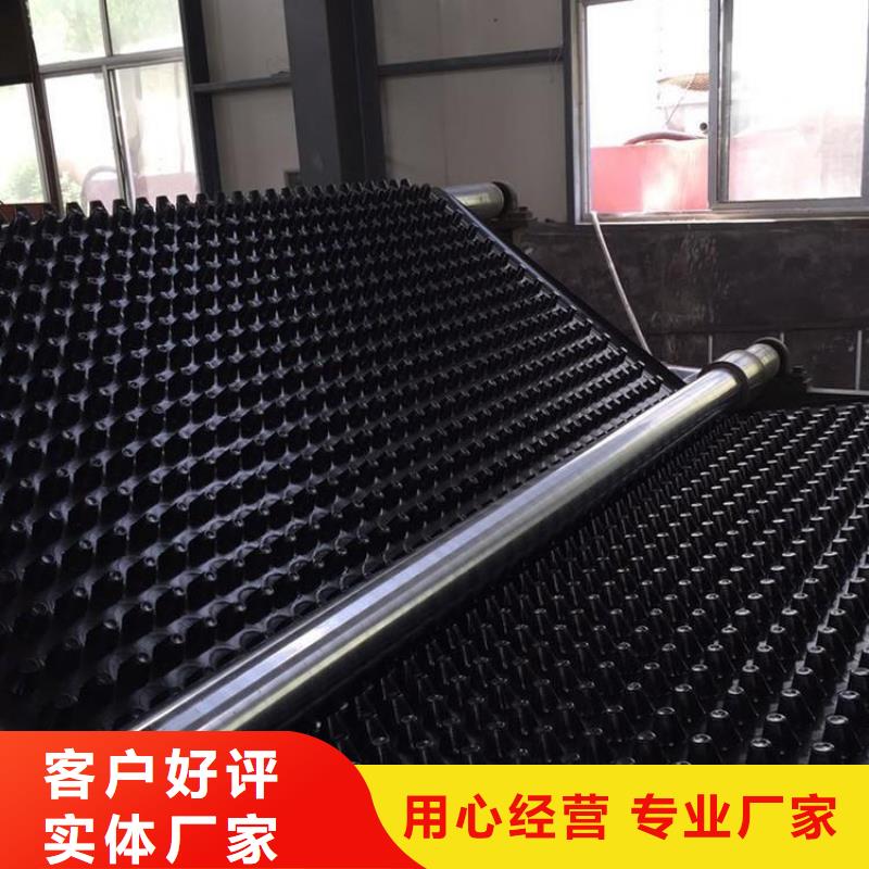 塑料排水板-双向塑料土工格栅好产品不怕比