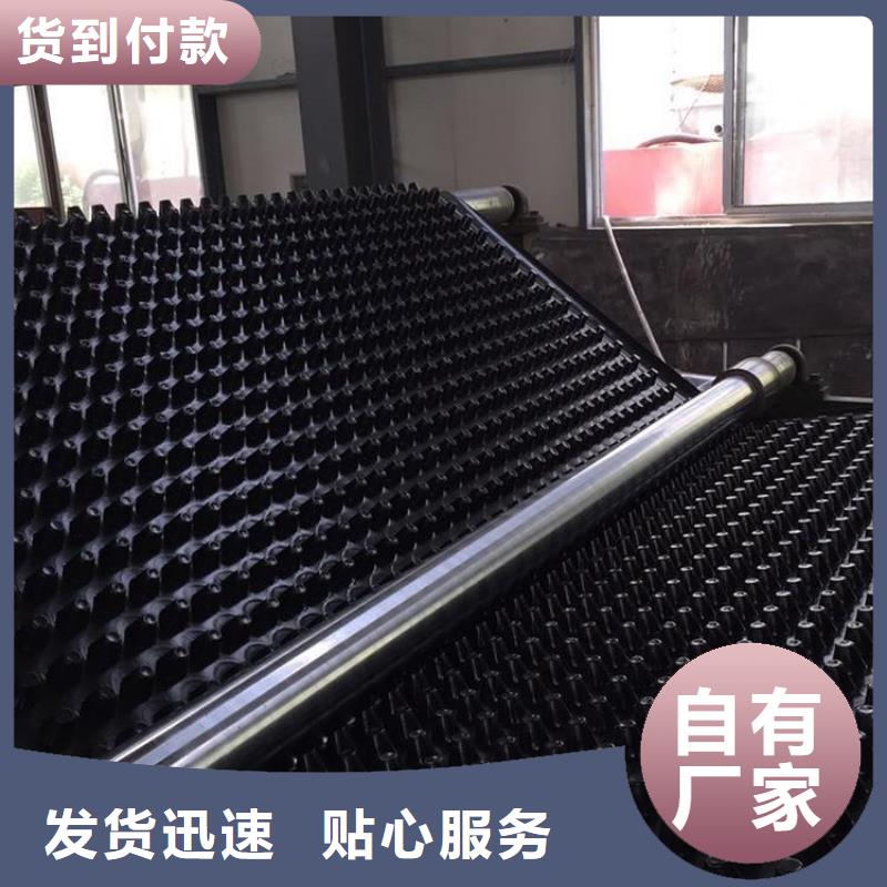 【塑料排水板反滤土工布支持加工定制】