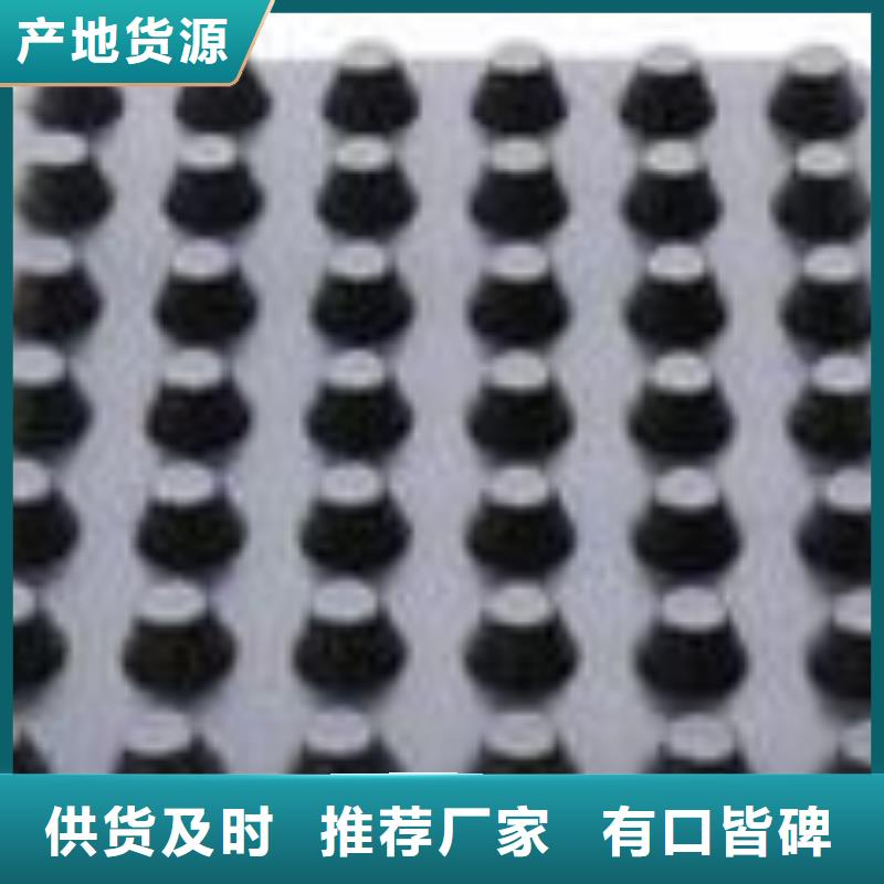 【塑料排水板_钢塑土工格栅销售的是诚信】