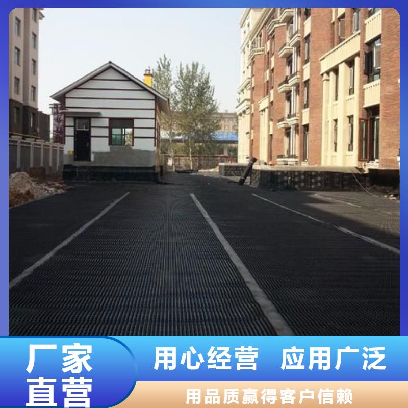 塑料排水板三维土工网垫源头厂家供应