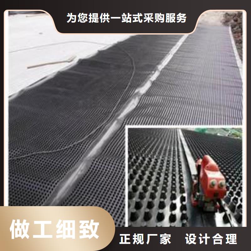 【塑料排水板_钢塑土工格栅销售的是诚信】