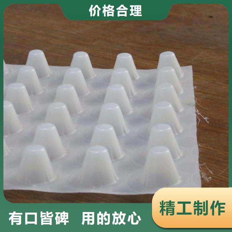 塑料排水板-双向塑料土工格栅好产品不怕比