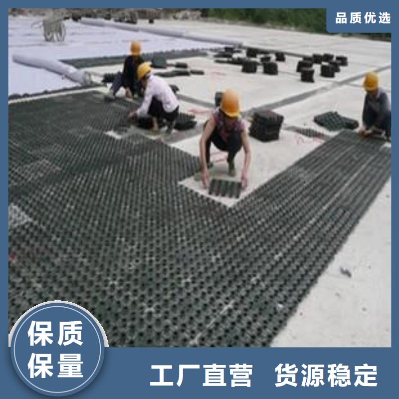 【塑料排水板_钢塑土工格栅销售的是诚信】