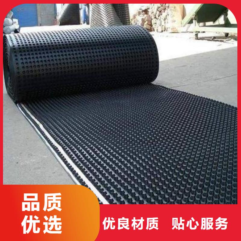 塑料排水板三维土工网垫源头厂家供应