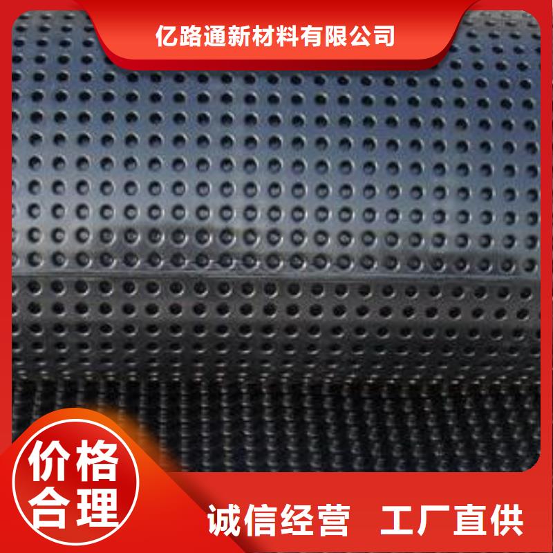 塑料排水板三维土工网垫源头厂家供应