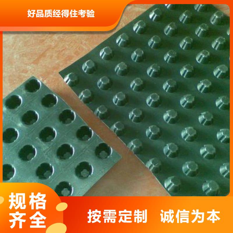 塑料排水板三维土工网垫源头厂家供应
