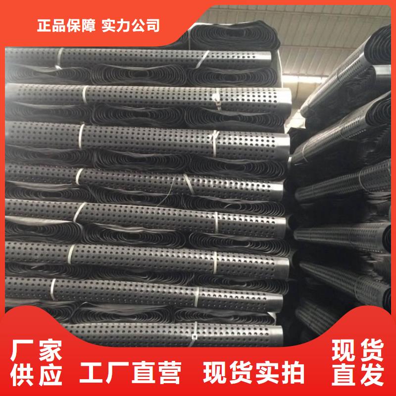 【塑料排水板_钢塑土工格栅销售的是诚信】