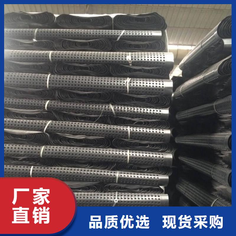 塑料排水板三维土工网垫源头厂家供应