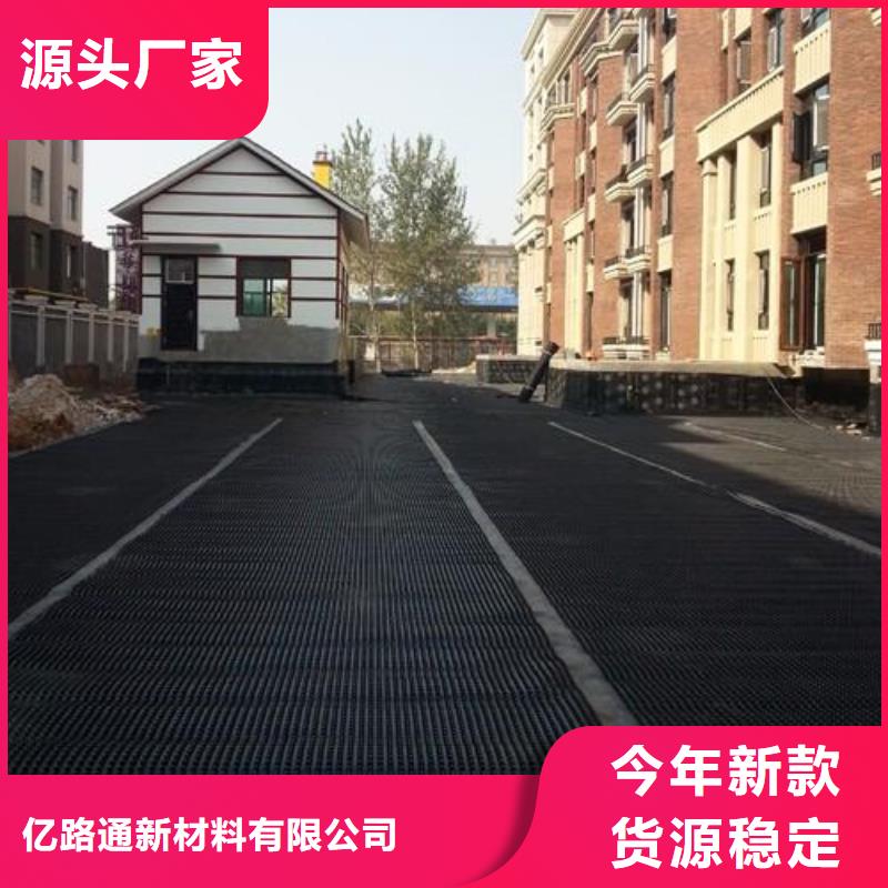 塑料排水板三维土工网垫源头厂家供应