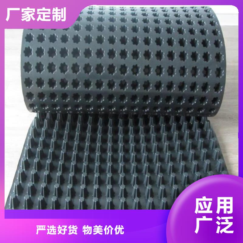 塑料排水板三维土工网垫源头厂家供应