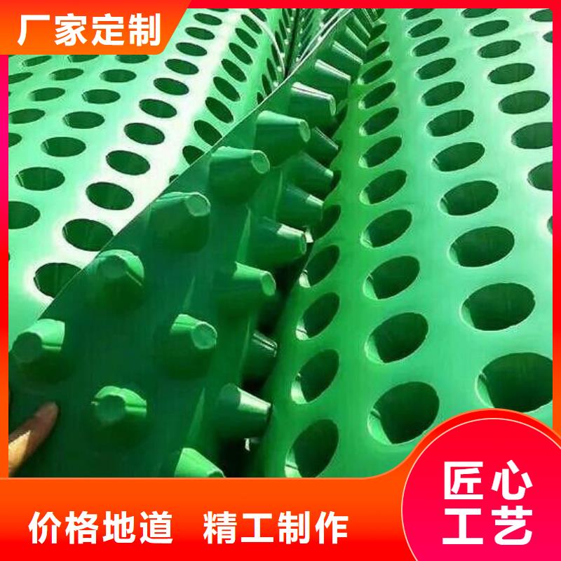 【塑料排水板_钢塑土工格栅销售的是诚信】
