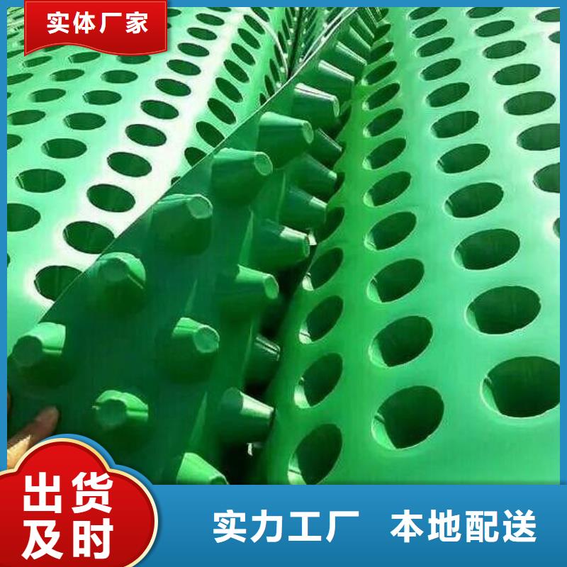 塑料排水板三维土工网垫源头厂家供应