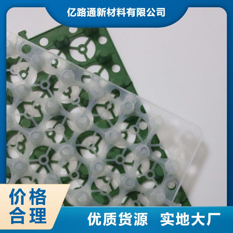 塑料排水板三维土工网垫源头厂家供应