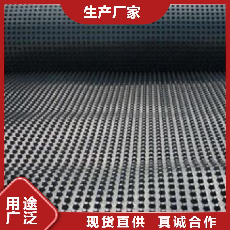 塑料排水板三维土工网垫源头厂家供应