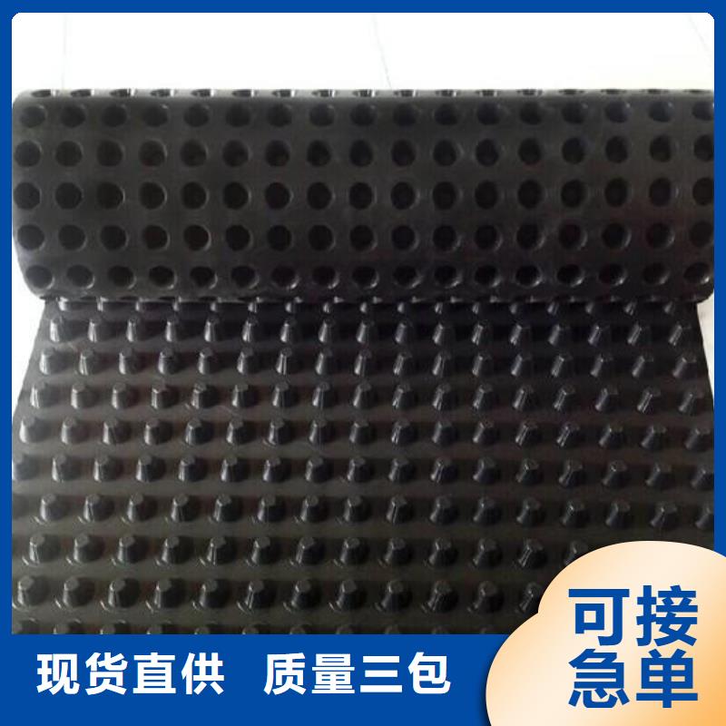 塑料排水板三维土工网垫源头厂家供应