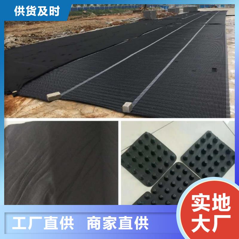塑料排水板三维土工网垫源头厂家供应