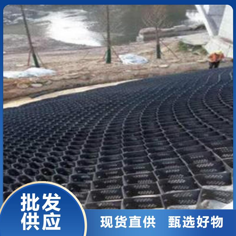 土工格室-塑料土工格栅设计制造销售服务一体